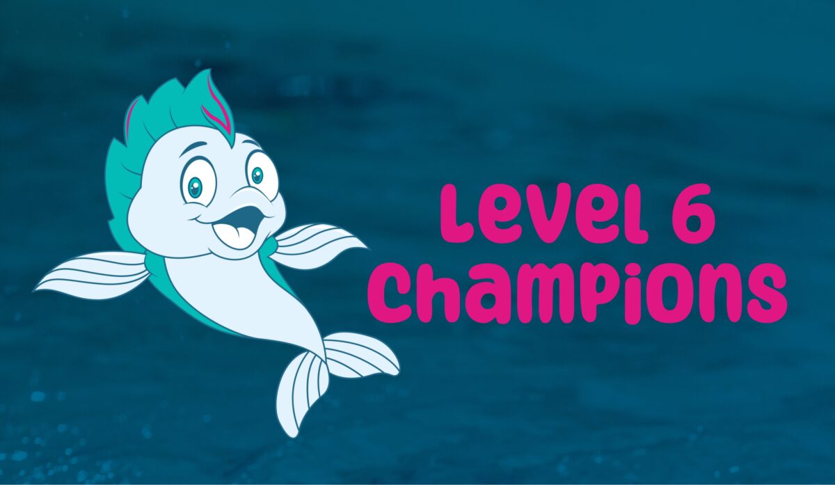 Level 6 Champions